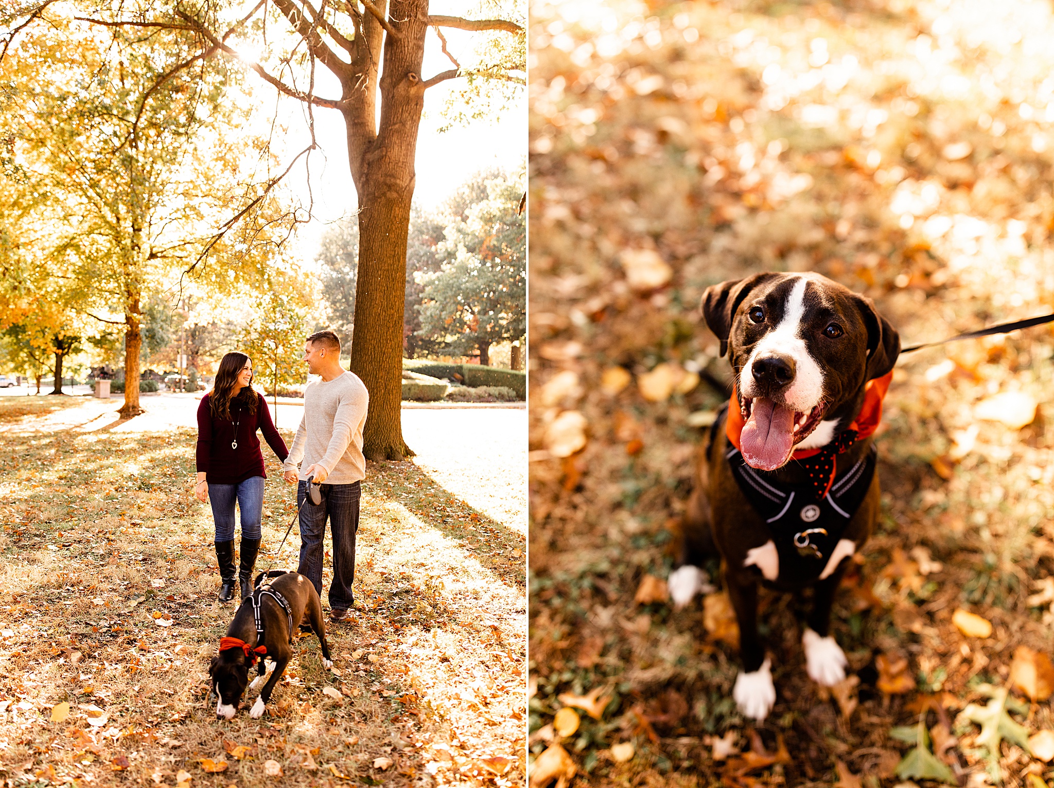 Tips to include your dog in your engagement photos