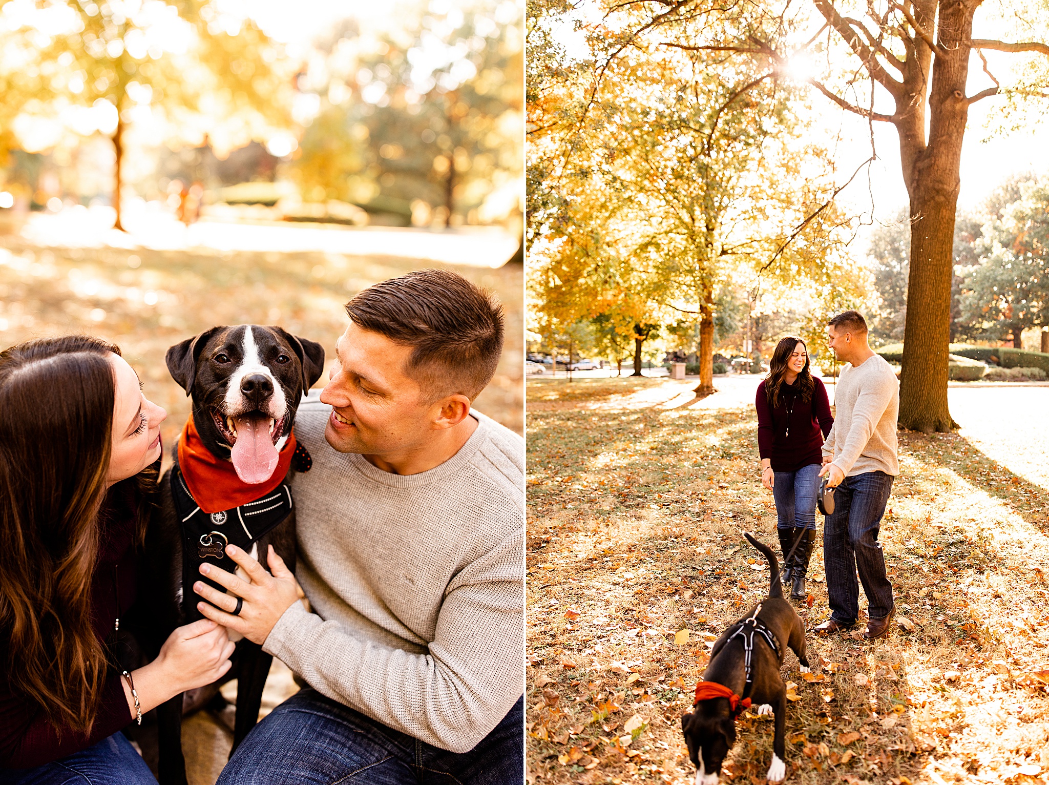 Tips to include your dog in your engagement photos